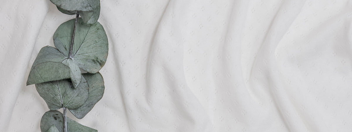 organic cotton pointelle fabric in white showcasing the detailing with an ivy on the left.